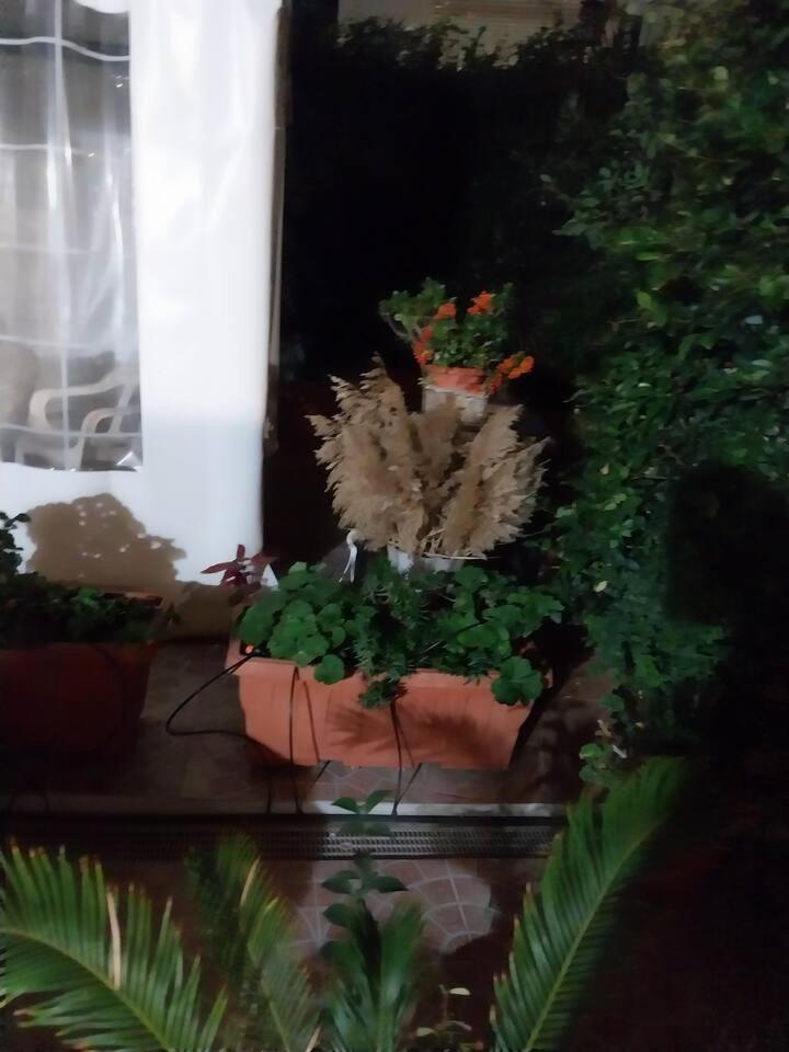 Il Giardino Di Marimar Lejlighed Eksteriør billede