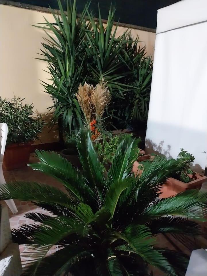 Il Giardino Di Marimar Lejlighed Eksteriør billede