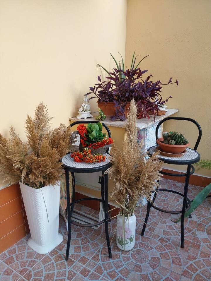 Il Giardino Di Marimar Lejlighed Eksteriør billede
